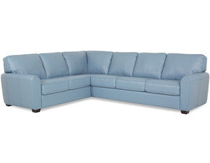 Connecticut 77881 Sectional (Made to order fabrics and leathers)