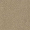 Arizona Mastic 15B1