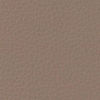 Le Mans Light Tan 15F5