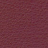Dream Red 20J3