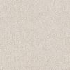 Fallow Parchment