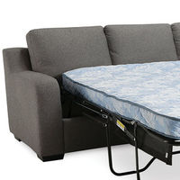 Pull Out Sofa Sleepers