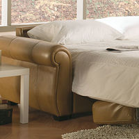 Leather Sleeper Sofas