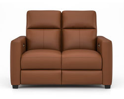 Broadway Power Reclining Loveseat with Power Headrests (943-71)