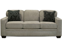 Winston Twin-Full or Queen Size Sleeper (Colors available)