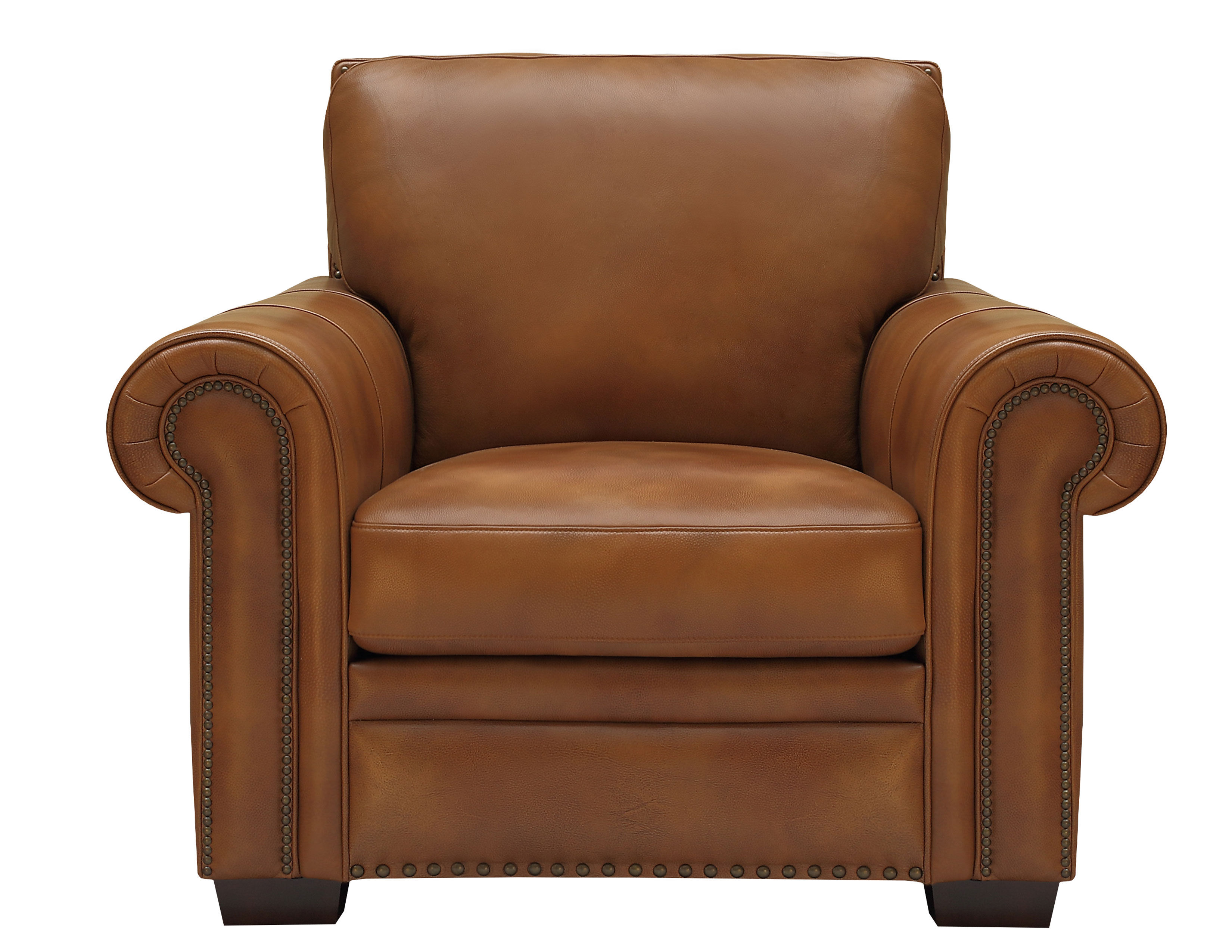 SOPHSUSTAINABLE LEATHER SINGLE RIDER’S L Laguna 6369 Leather Sofa (90