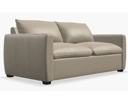 Laguna 77675 Sleeper (twin, full or queen) +100 leathers