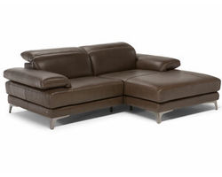 Speranza C054 Stationary Sectional (+60 leathers)