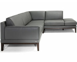 Time C246 Sectional (+60 leathers)