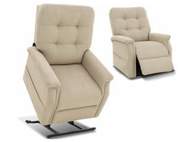 Diana 1817 Power Lift Reclining Chair (2 colors)