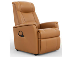 Memphis Power Lift Reclining Chair (2 sizes) +30 leathers