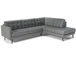 Stupendo C174 Sectional (+50 leathers)