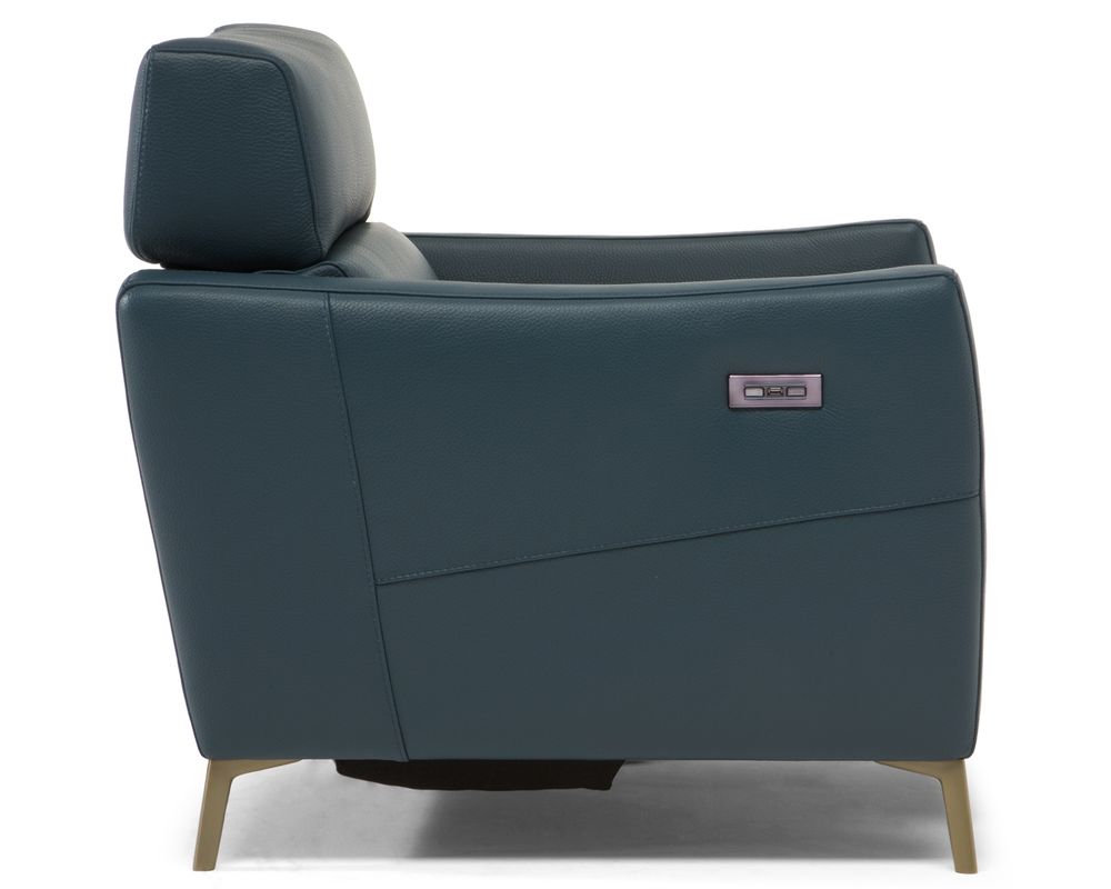 Greg C200 Power Headrest Power Reclining Sofa (79