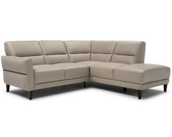 Tris C297 Sectional (+50 leathers)