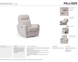 Oakridge 40180 Power Lift Recliner Rated 350 Pounds (+50 fabrics)
