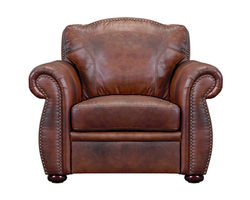 Arizona All Leather Chair
