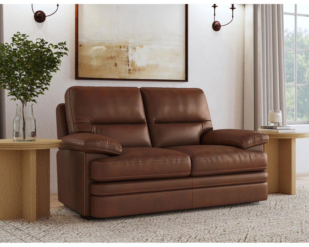 David 1825 All Leather Sofa (93