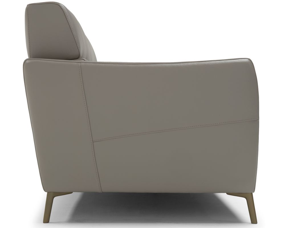 Greg C200 Power Headrest Power Reclining Sofa (79