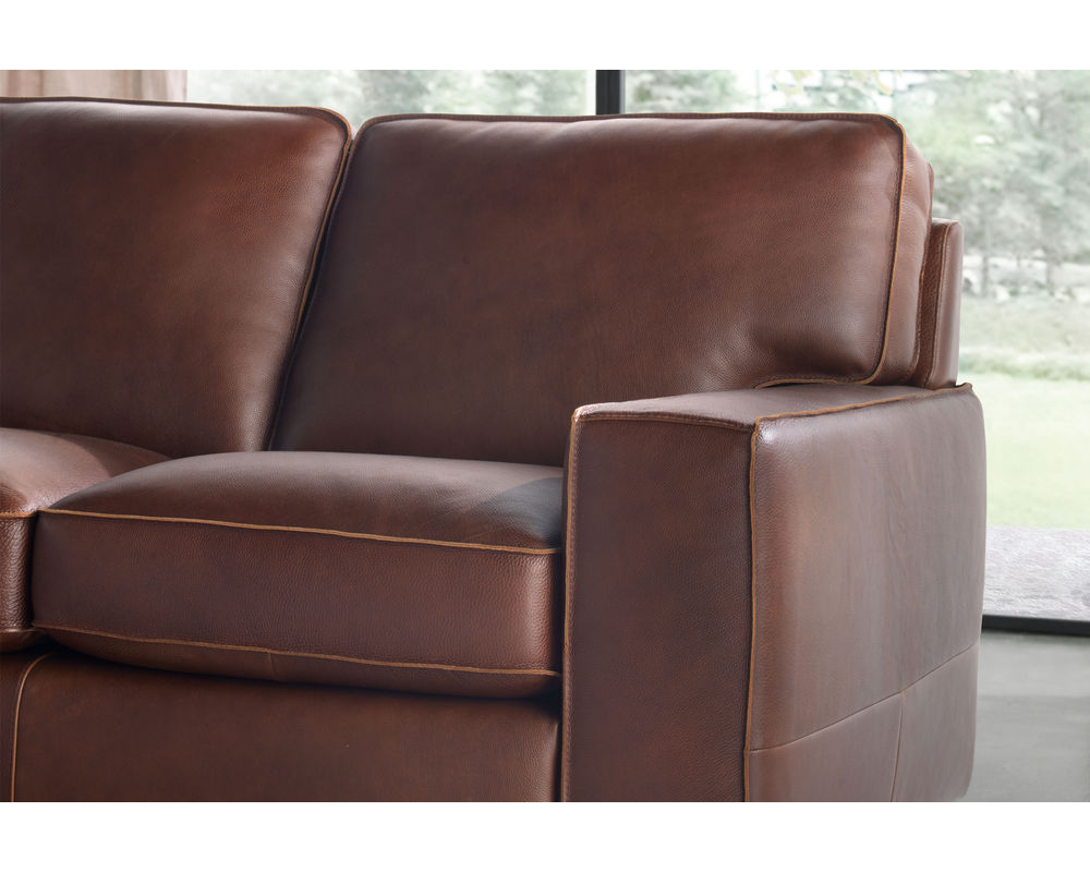 Vincenzo B858 Leather Stationary Sofa | Sofas and Sectionals