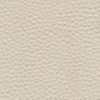 SFinge Ivory 01