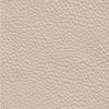 Dream Beige 20JJ