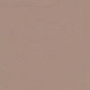 Soft Line 229 Latte