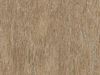 Sunbleached Cypress