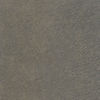 Telluride Camel 154-16