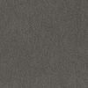 959-04 Coal (Performance Fabric)