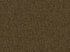 Canber Hazelnut