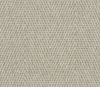 Phelps Limestone