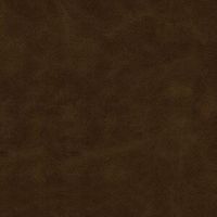 Revelation Tigers Eye
