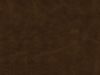 Revelation Tigers Eye