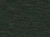 Tangier Pine