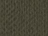Werebear Khaki