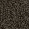 20576 Cocoa