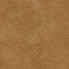 22385 Pecan Special