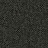 25436D Midnight Special