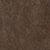 19866C Umber Special