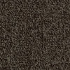 20576 Cocoa Special
