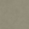 73229L - ELEPHANT
