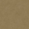 71569L - PUTTY