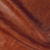 Phoenix Cigar