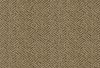 Urban Wheat