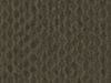 Werebear Khaki