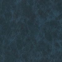 Cheyenne Worn Blu