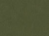 54721BL Boreal Forest