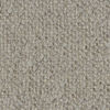 SILVER 2155 (Special Purchase)