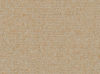 Omni Tan 25029 (Performance Fabric)