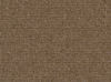 Omni Mocha 25026 (Performance Fabric)